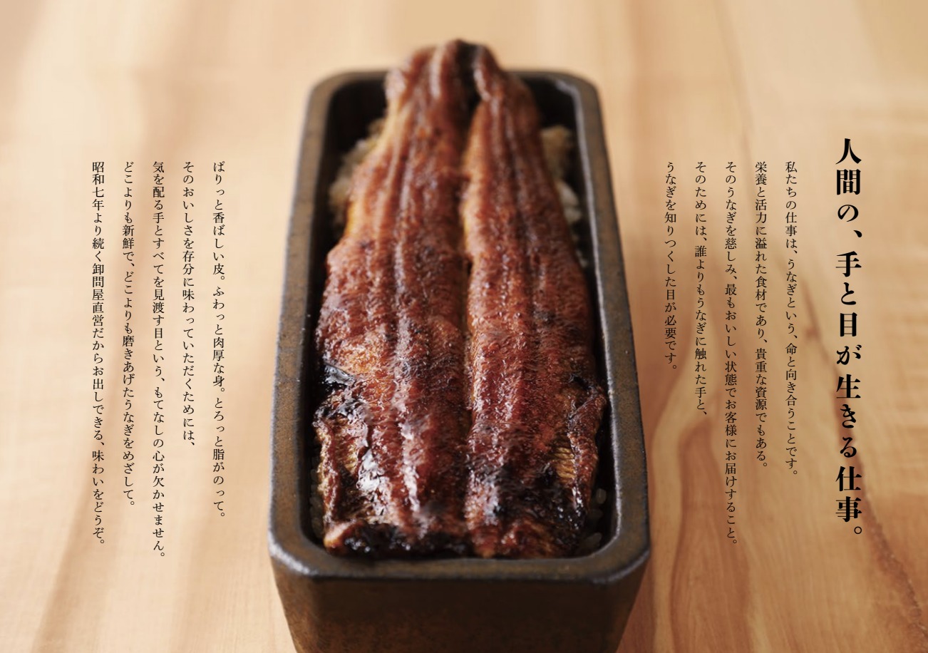 うなぎ 6匹 観賞用に うなぎ 6匹 観賞用に